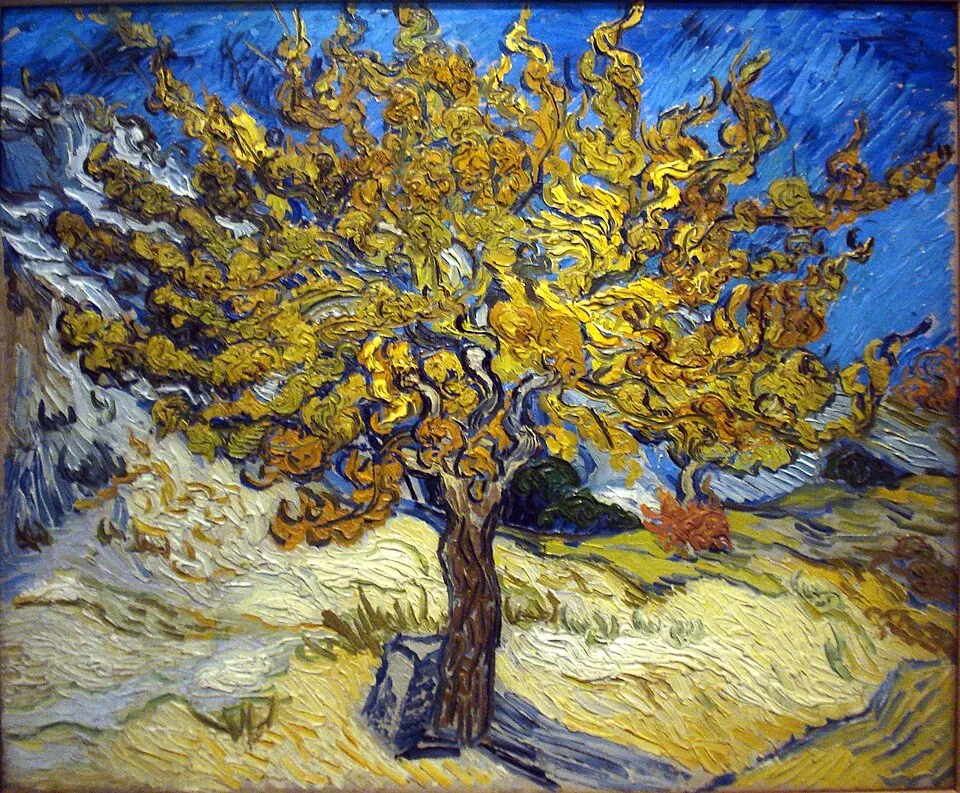 Mitî Tûyon