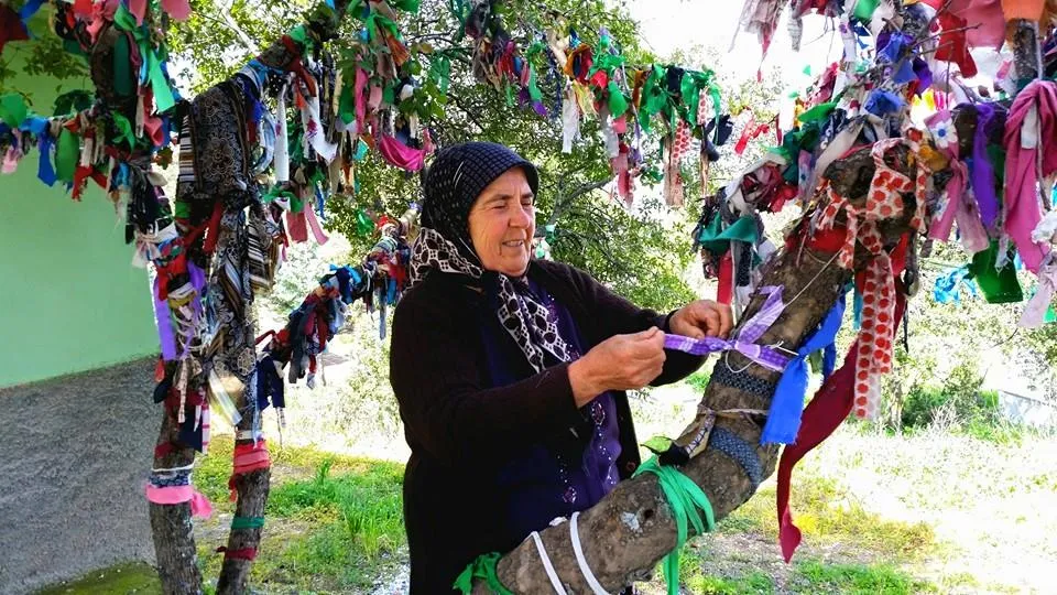 Cimikan Köylerindeki Yol Değerleri