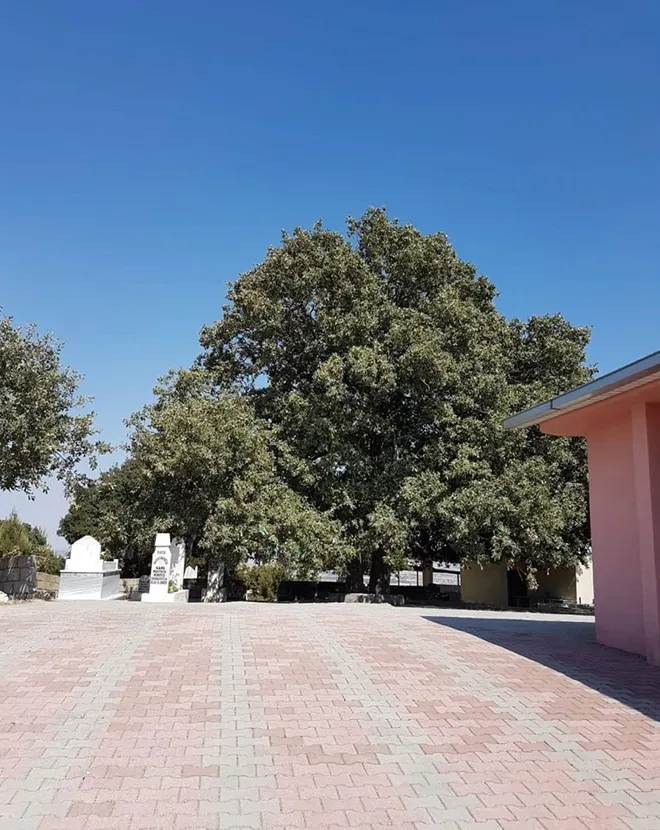 Ziyareta Hisênê Kome