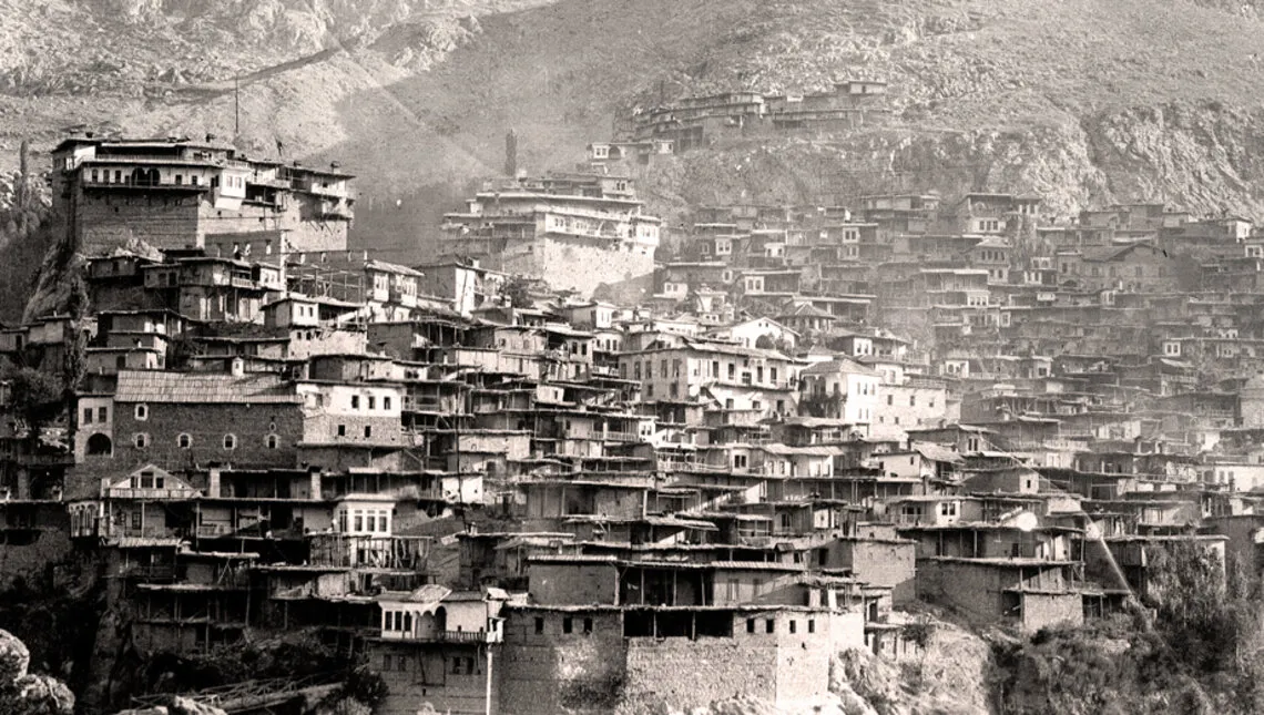 Zeytun'da Yetiştirilen Gıdalar